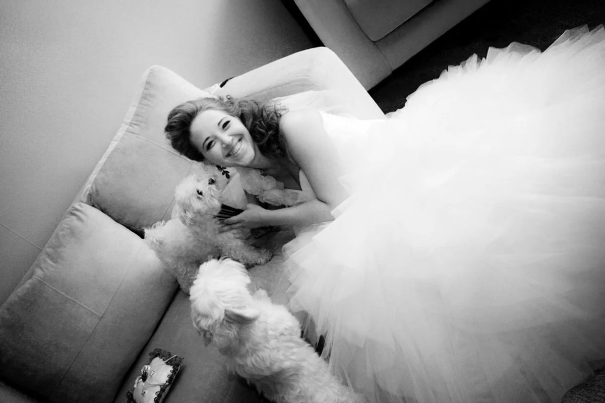 Bride in wedding dress smiling on couch with two small white dogs.