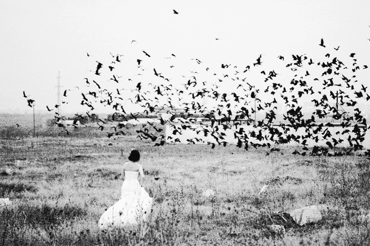 In this captivating piece of photojournalism, a bride stands alone in the midst of a vast, open field, surrounded by a swirling congregation of black crows. The scene is both surreal and enchanting, capturing a moment of contrast between the serenity