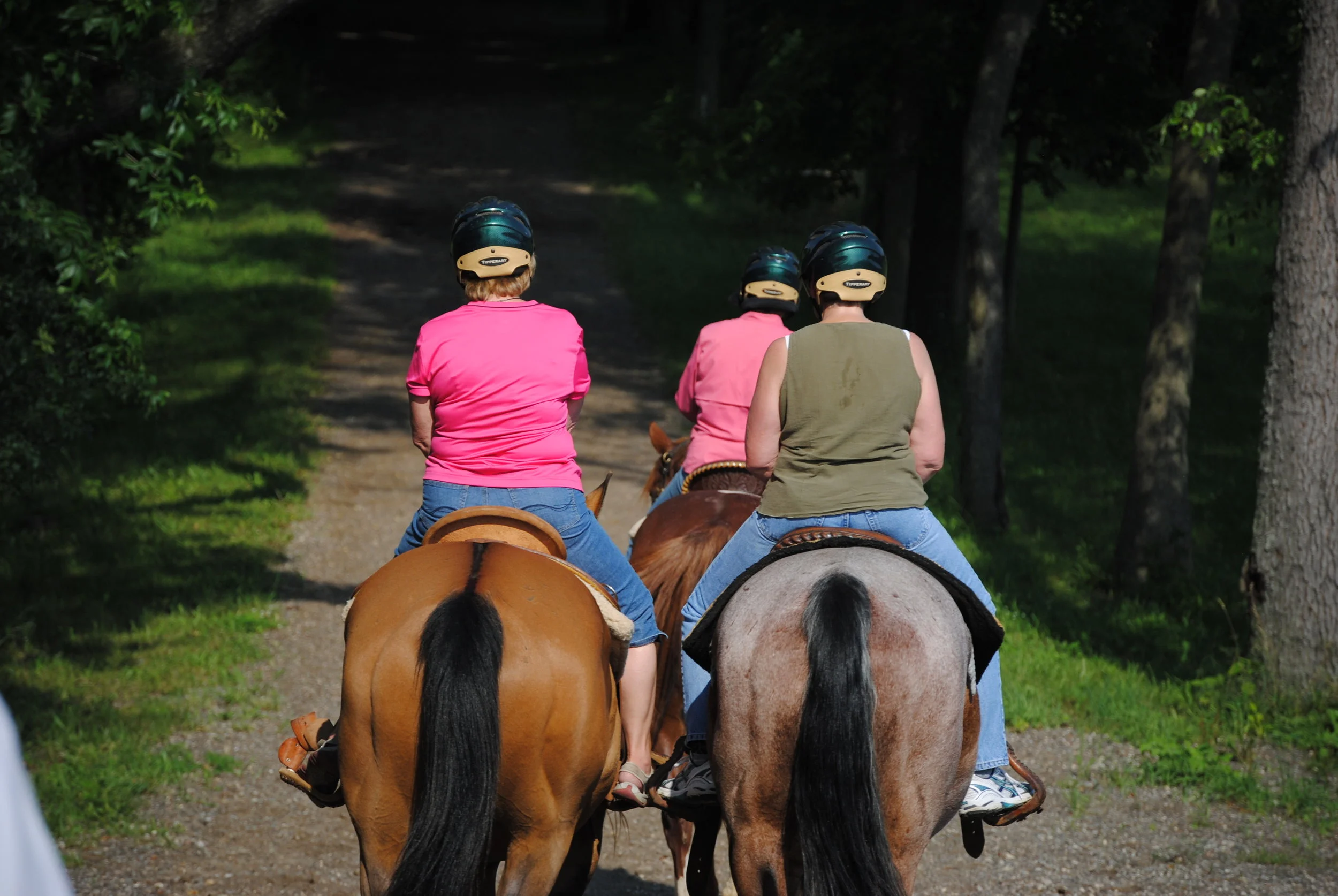 ride 068.jpg