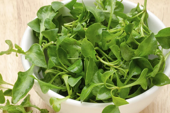 Watercress.JPG