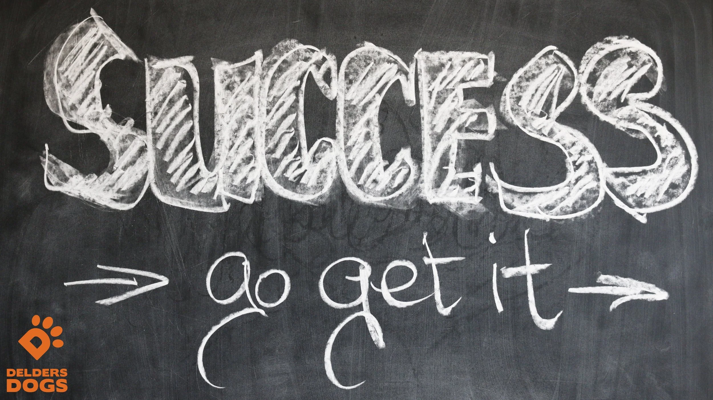 blackboard-board-chalk-21696.jpg