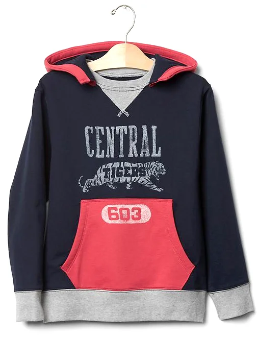  Colorblocked Popover Logo Hoodie 