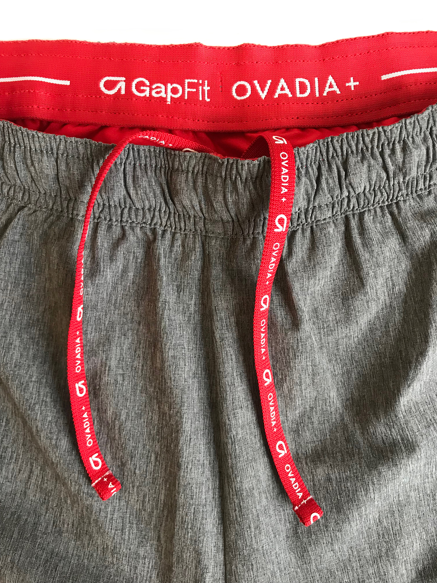 ovadia wb.jpg