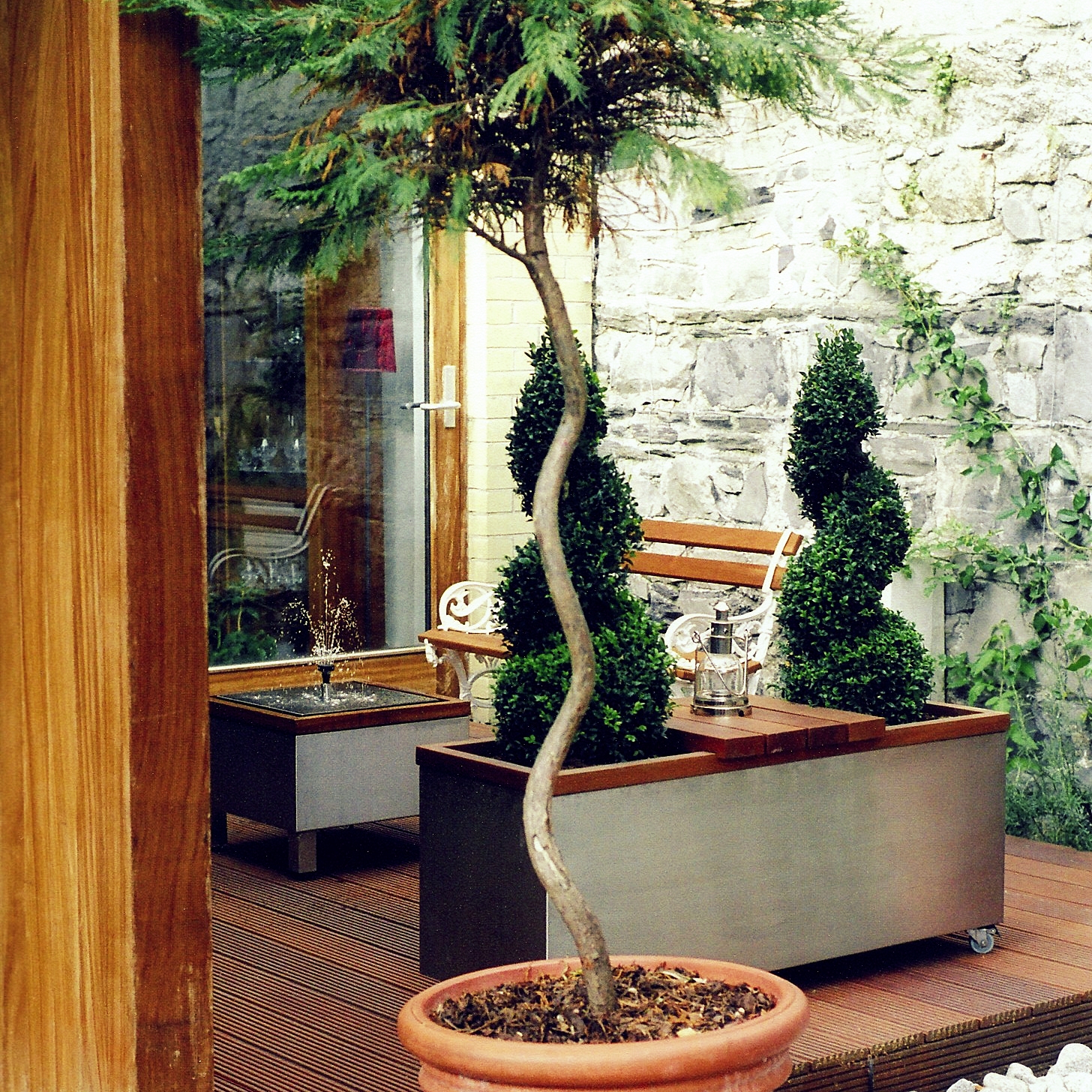 planter with tree.jpg