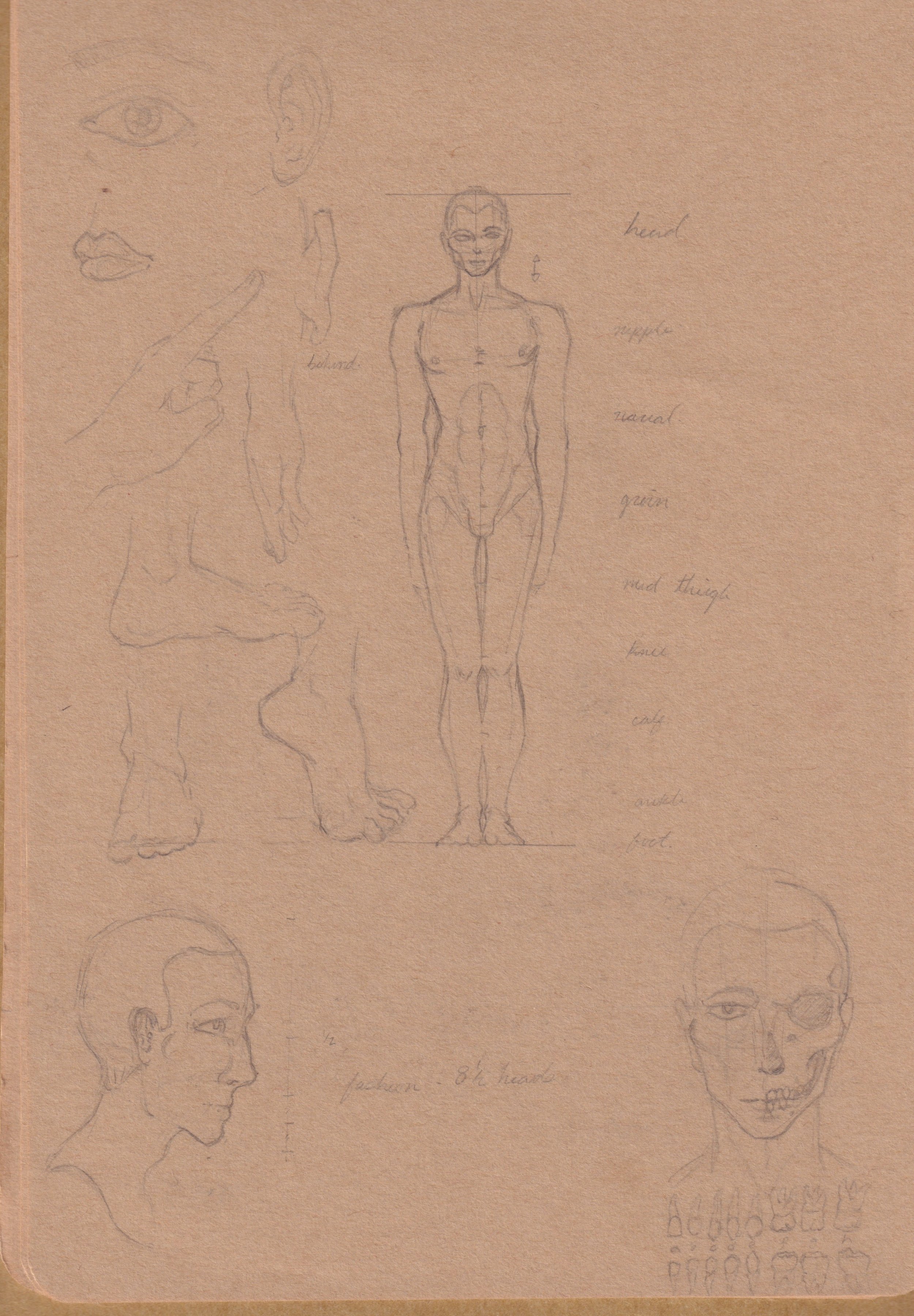 Sketch.Body-Work.600.022019 1.jpeg