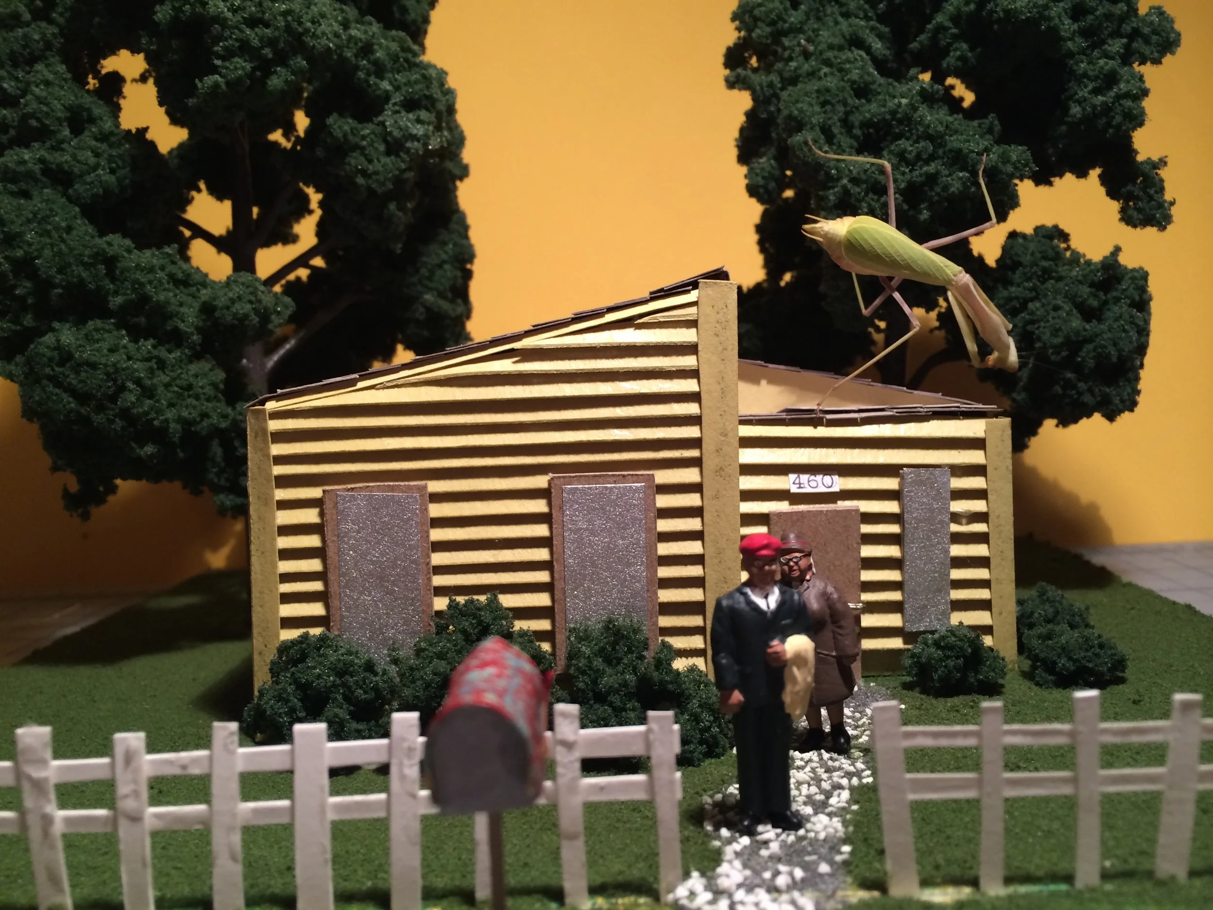 IMG_3037 (2).jpg