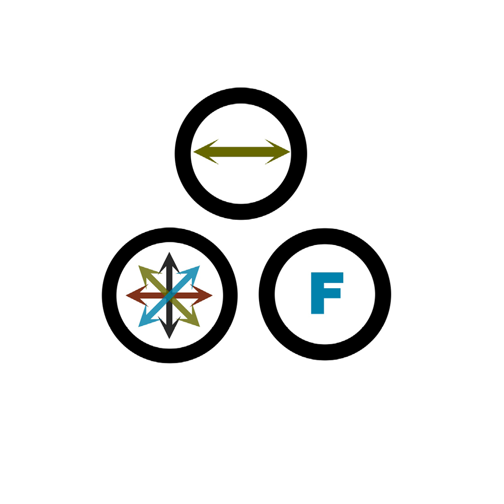 VS_1000x1000_Ford13.png