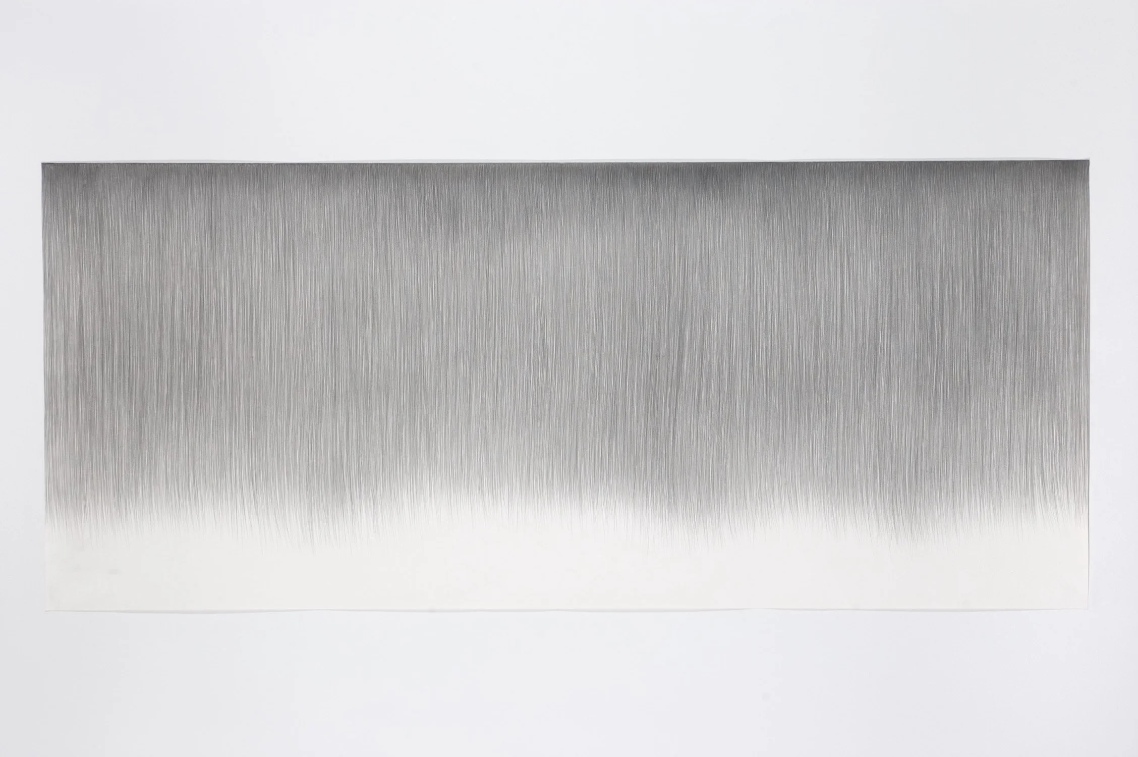 Pestañas 3 Grafito sobre papel 92 x 213 cm. 2005