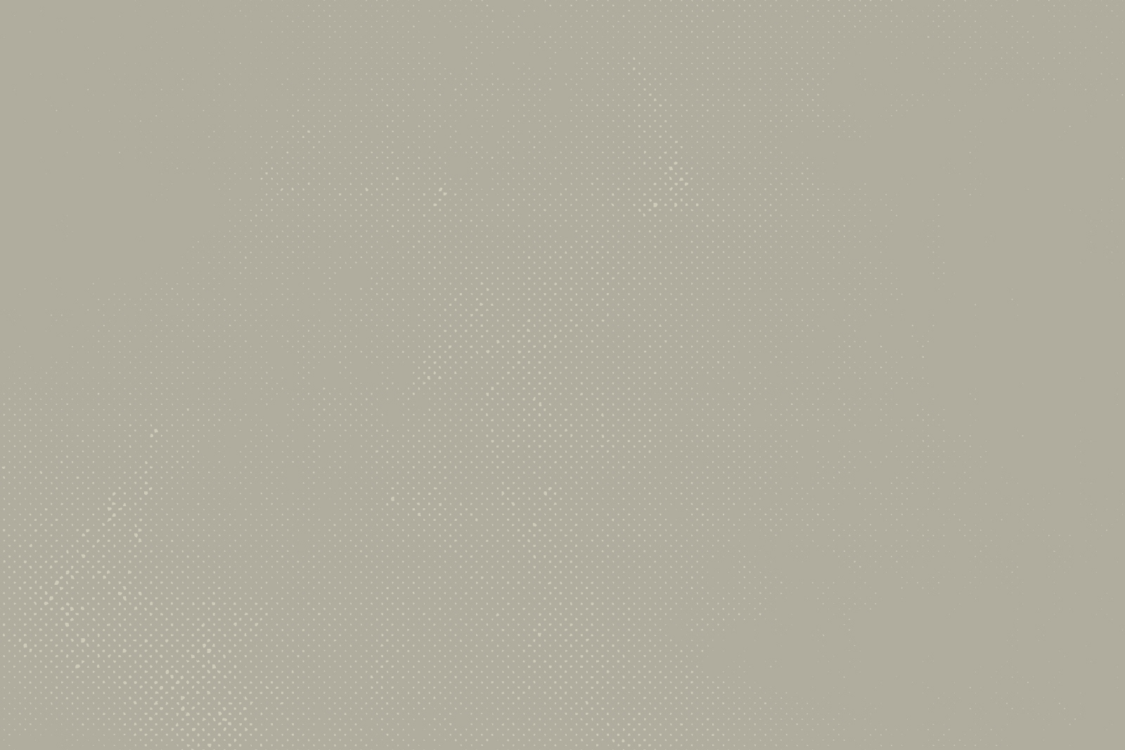 backgroundtexture_light.jpg