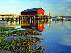 Port of Coupeville