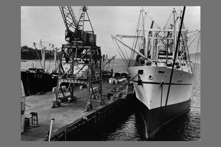 Bellingham - Freighters Nichiyo Maru (left) and Oregon at the North Terminal, August 7, 1969.jpg