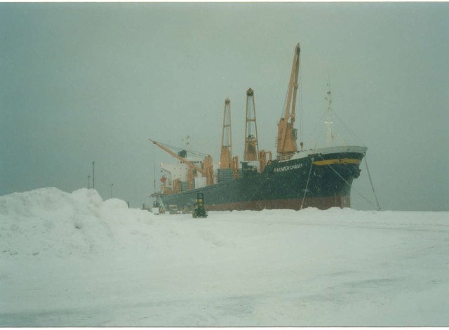 Bellingham - Ship loading in snow.jpg