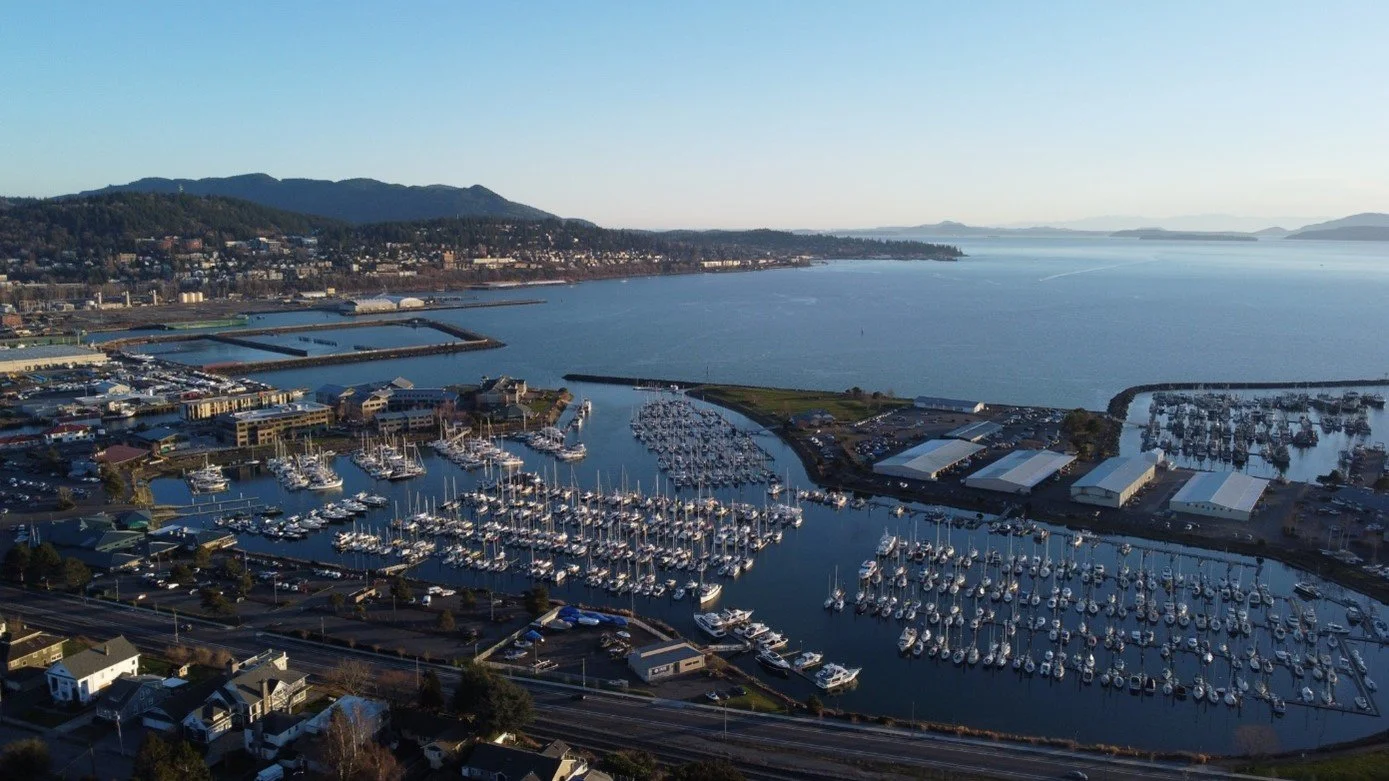 The Manifest - October 2023