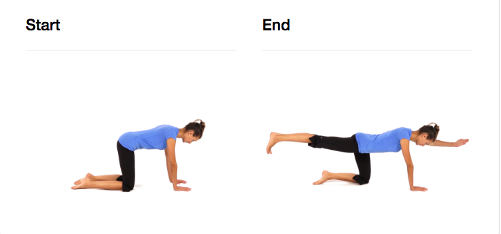 Get on your hands and knees (four point position) with your knees and hand at hip and shoulders width apart, respectively. Your back is in neutral position (slightly arched) and your chin must be tucked in. Activate your lower abdominals (transverse abdominis) by bringing your belly button inward and by activating your pelvic floor muscles 20 to 30% of maximal contraction. Maintain steady abdominal breathing while you simultaneously lift one leg backwards and the opposite arm overhead, keeping your back in neutral position. Return to the initial position and repeat with the other leg and arm.