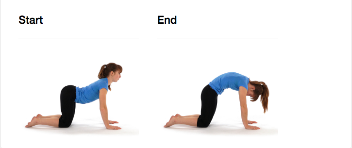 Start on all fours with hands underneath the shoulders. Lift the head and chest simultaneously while letting the stomach sink and the lower back arch to perform the "cow" pose. Then, round the back and let the head and neck drop while aiming to get the head and pelvis as close as possible, performing the "cat" pose