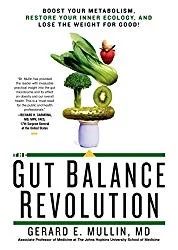 The gut Balance.jpg
