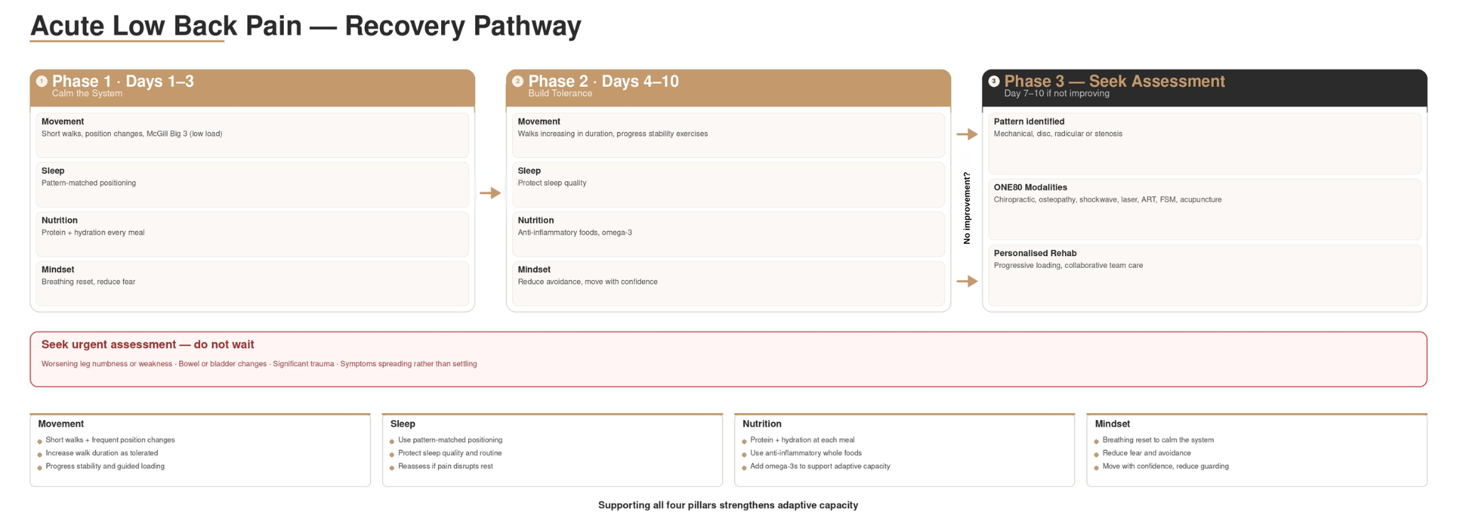 Flowchart showing acute back pain recovery steps and when to seek assessment.