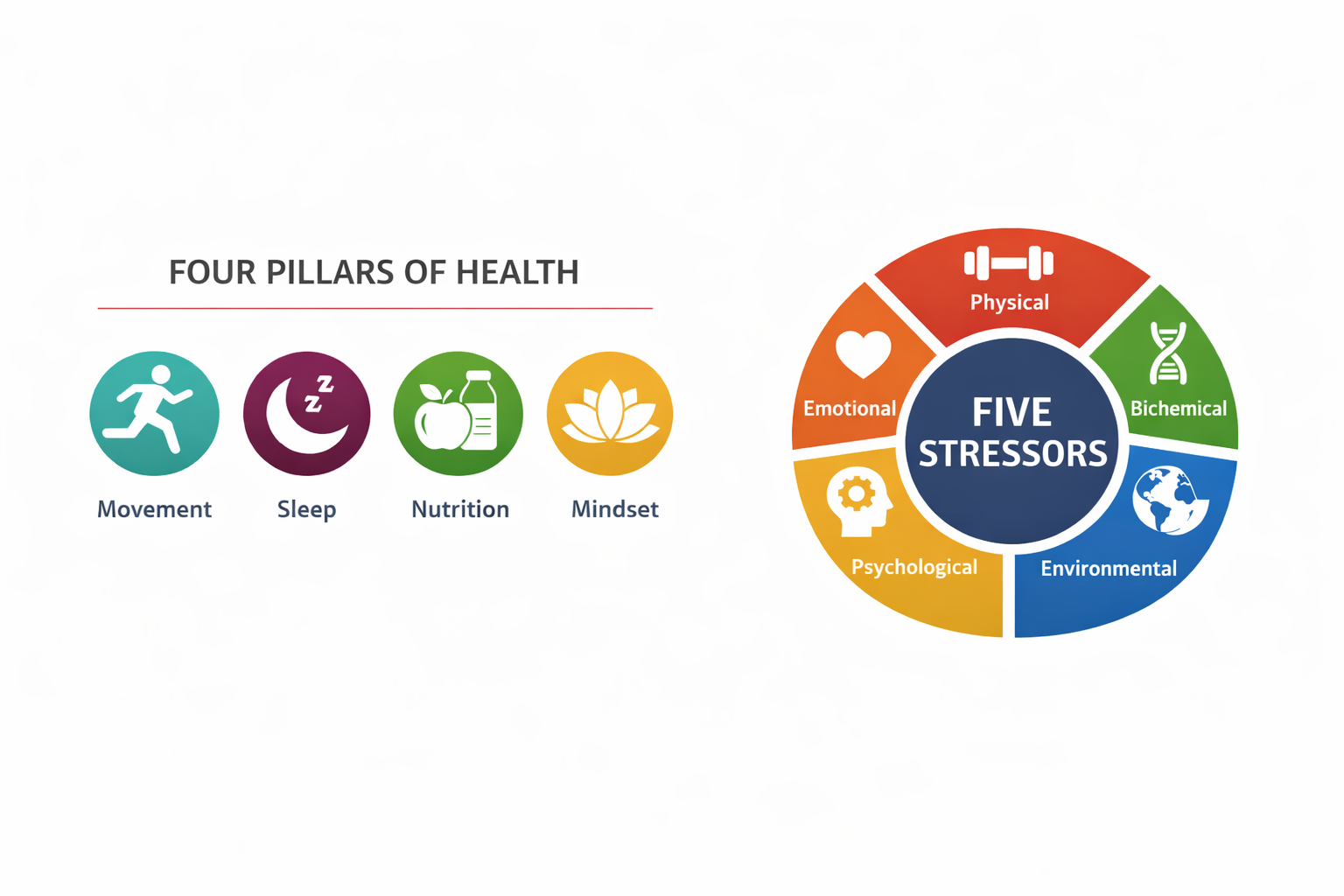 Graphic illustrating the Four Pillars of Health and the Five Stressors model used in care at ONE80 Health
