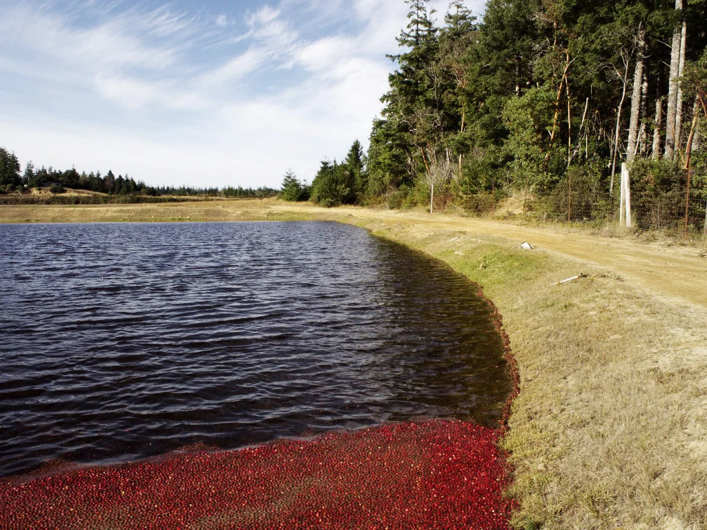 Hauetersbogs is located on the mild Southern Oregon coast.