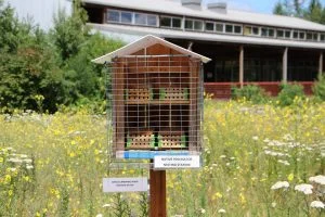 Nesting Stations in Washington County