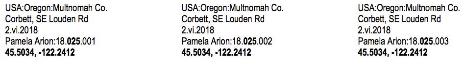 Here are three consecutive labels for Gorge Atlas team member Pam Arion. All three labels are from Pam's 25th sample collection event (indicated in bold on the fourth line). The number before '25' (i.e., '18') indicates the year (i.e., to differentiate the 25th sample event in 2018, from the 25th event in 2019). The number after '25' (i.e., either '1', '2' or '3') signify the specimen number (i.e., Pam caught 3 bees on sample event '25' and each bee gets its own label.