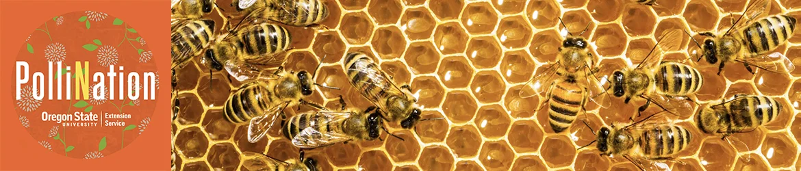 PolliNation-Banner.jpg