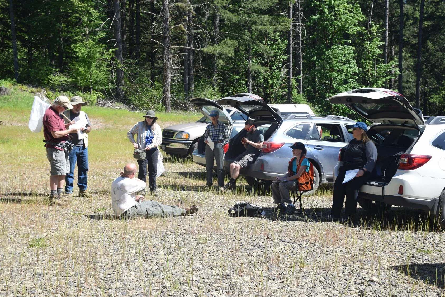 The Yamhill team took a field trip to the OSU Matteson Demonstration Forest this week and surveyed a newly planted forestry site. There will be additional trips to the the Demonstration Forest as well as a paired site in Lane County. Stay tuned for more details.