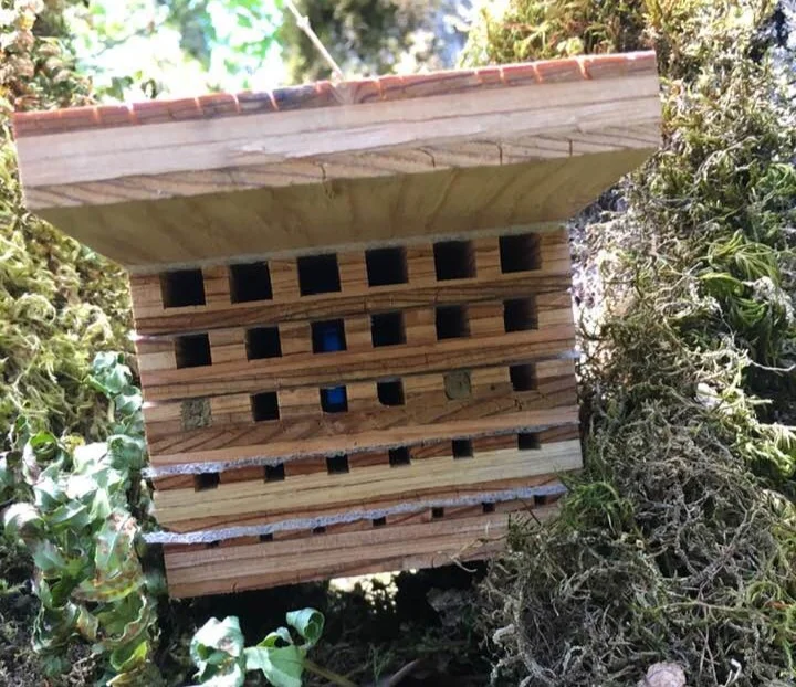 Linda Zahl’s trap nest has some occupants. People have asked about getting more blocks. Unfortunately its too late to put new traps out. We have a second set now built out, so we should be able to get blocks out earlier to everyone next year. If you did not get blocks back to us last year, no problem, just re-hang them and get them back to us next September.