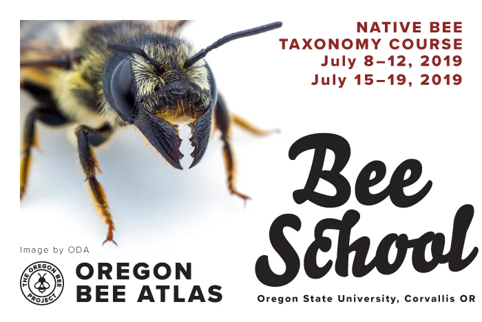 2019-04_OBP_OregonBeeSchool_Graphic.jpg
