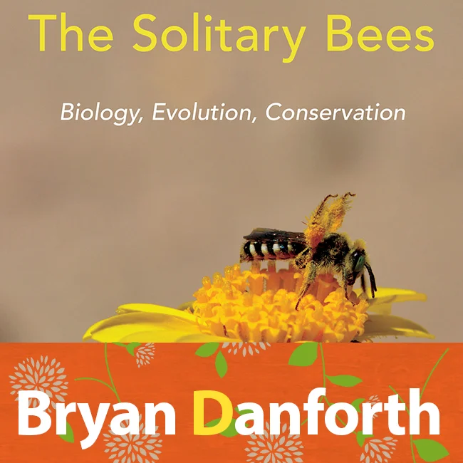There is a great new book out on Solitary Bees. Just out. We talked to the author of the book a few weeks ago. Listen here: http://blogs.oregonstate.edu/pollinationpodcast/2019/08/12/107-bryan-danforth-the-solitary-bees/