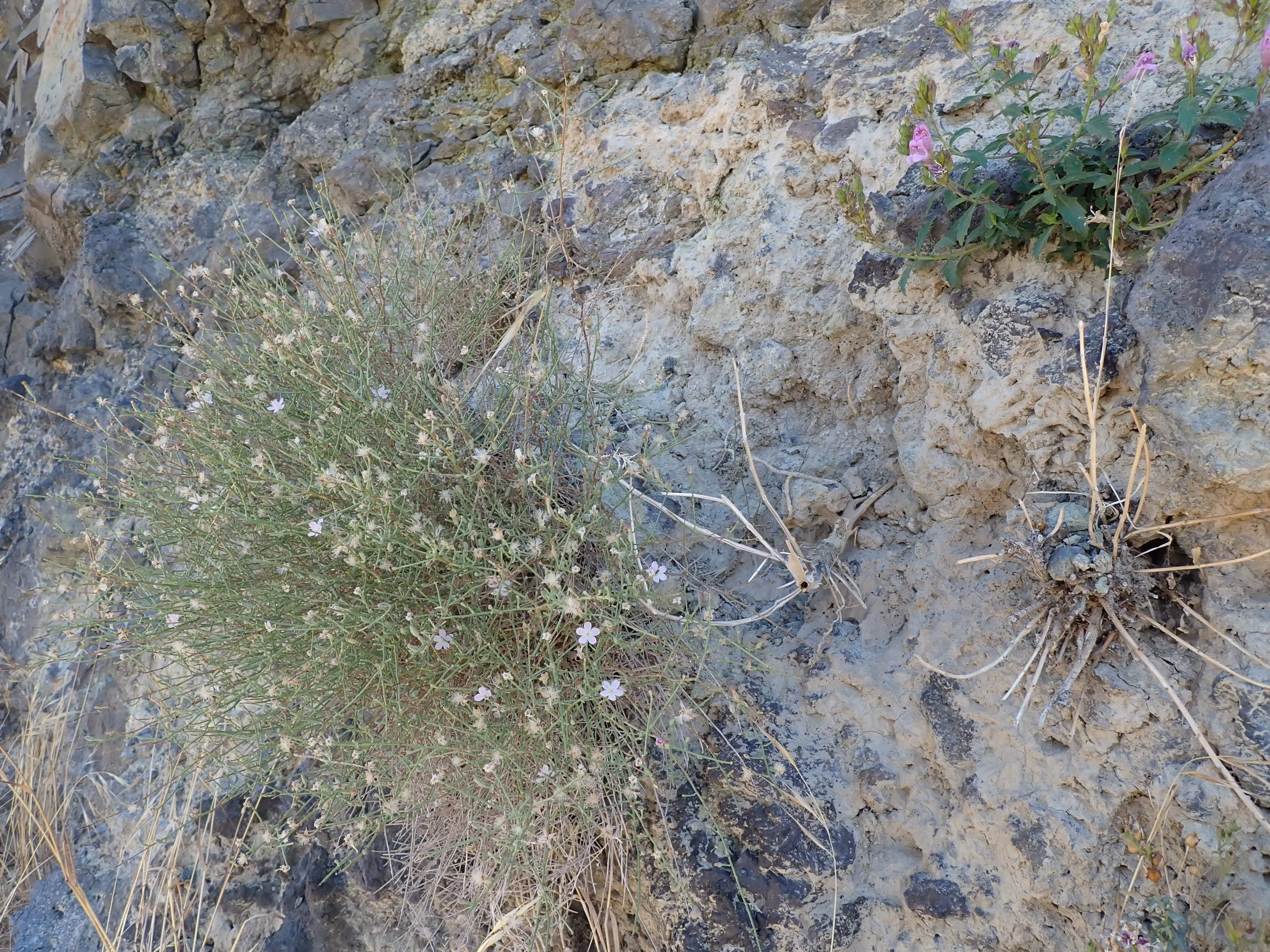 P9033429.JPG