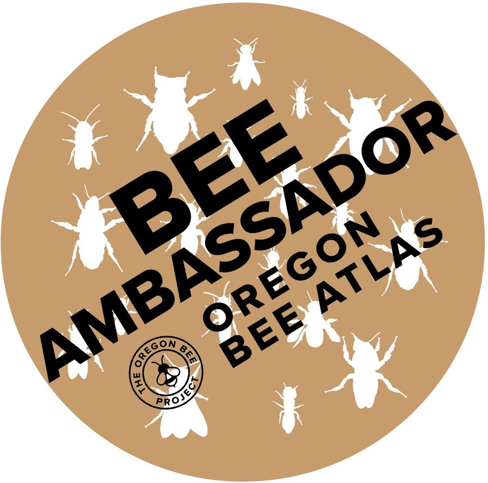 Bee Ambassador.jpg