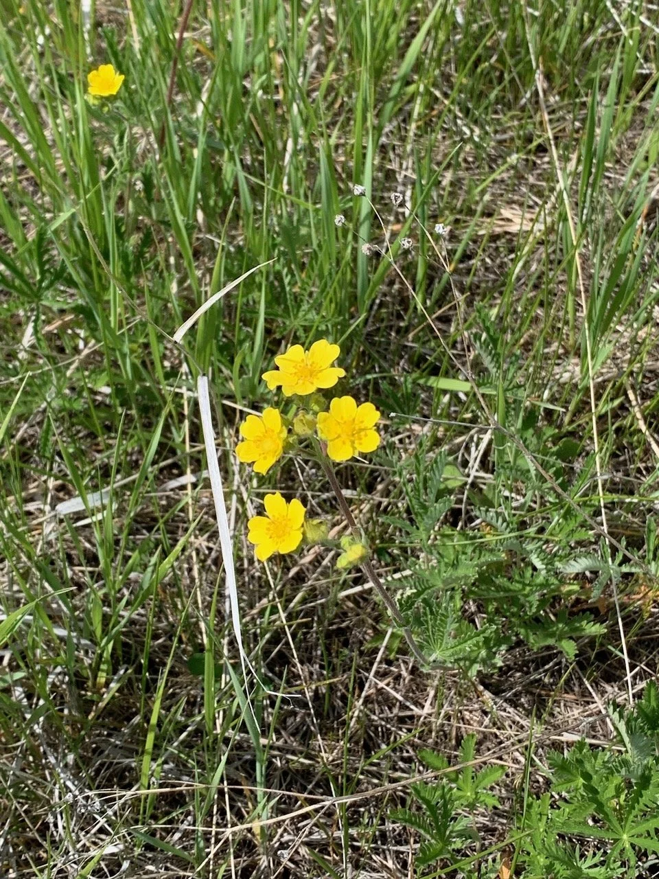 IMG_0706.jpeg