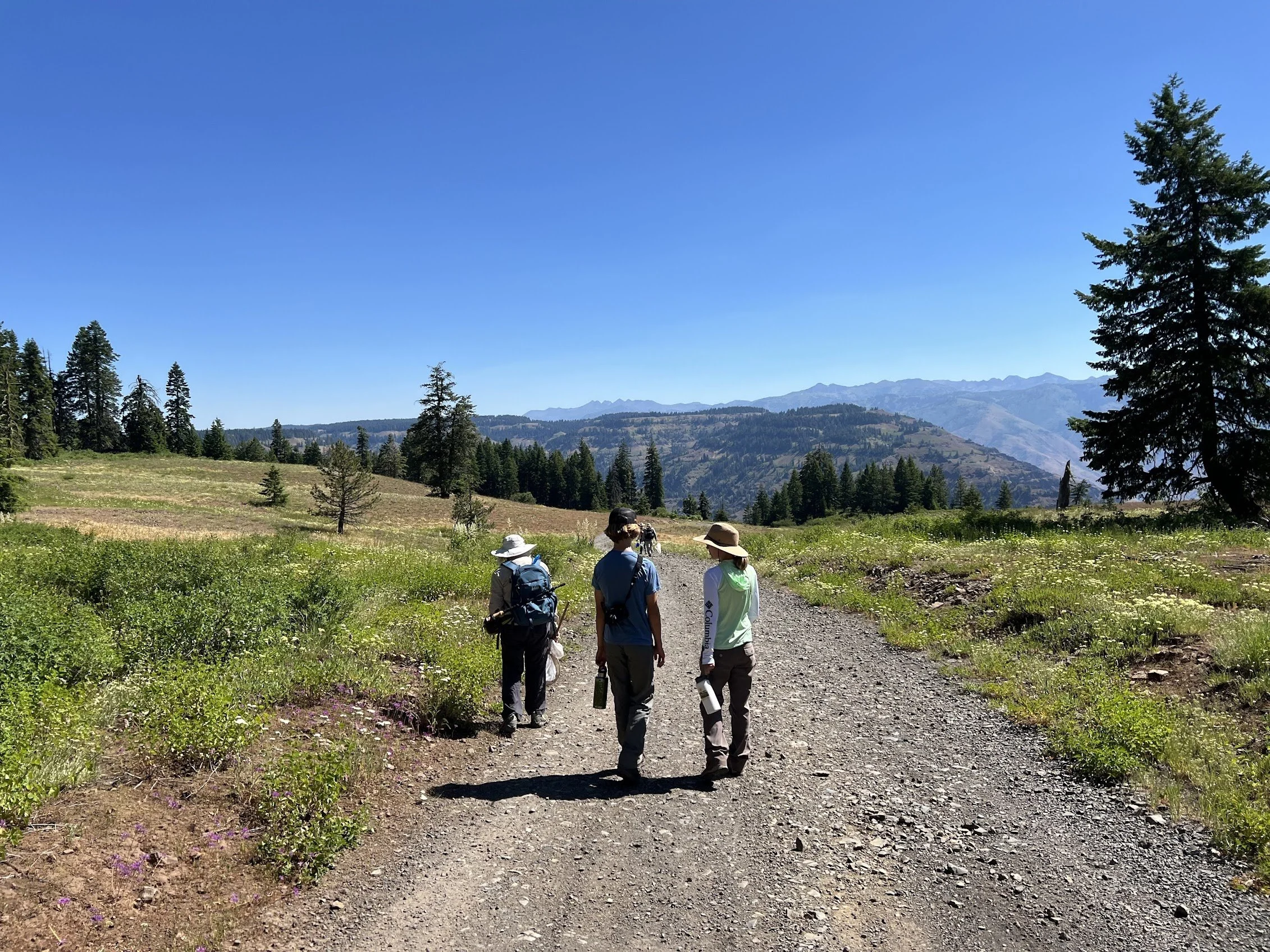 walking near the edge of the Canyon by Carol Yamada