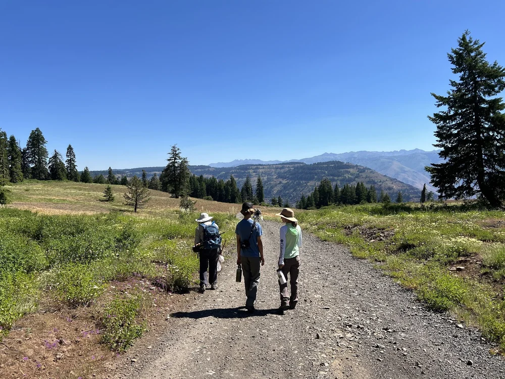  walking near the edge of the Canyon by Carol Yamada 