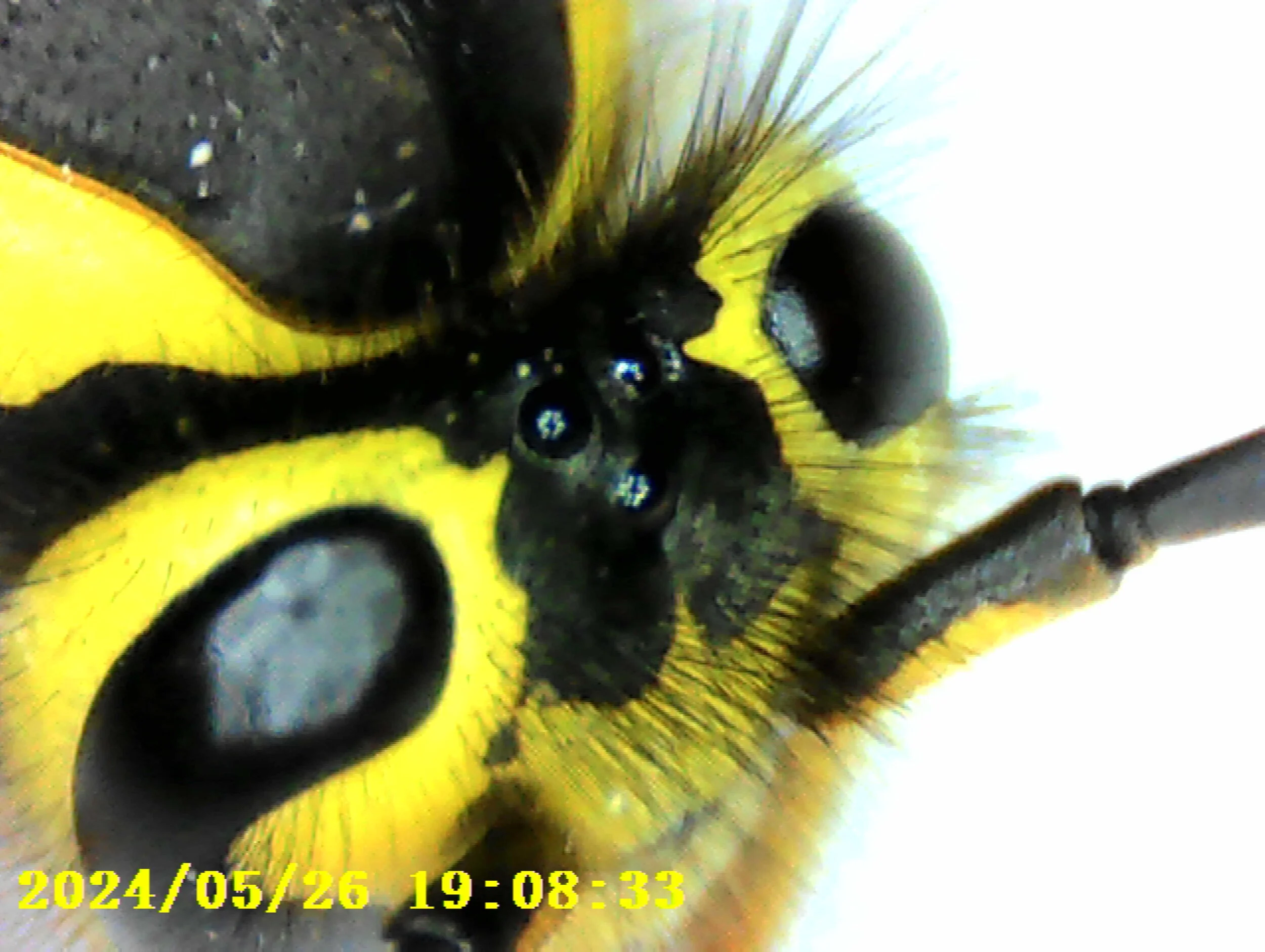 PICT0078.jpg