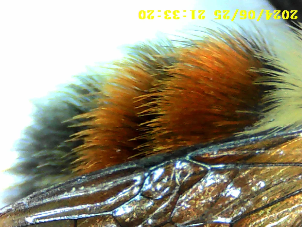 PICT0204.jpg