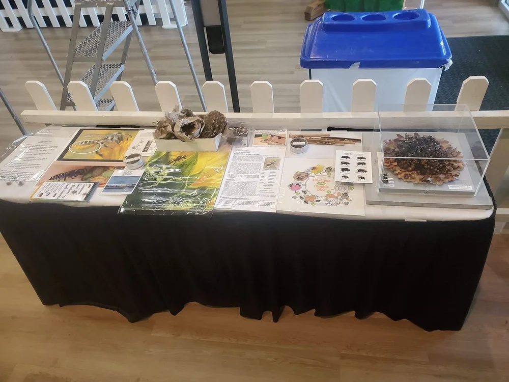 Stephanie Hazen's interactive outreach display