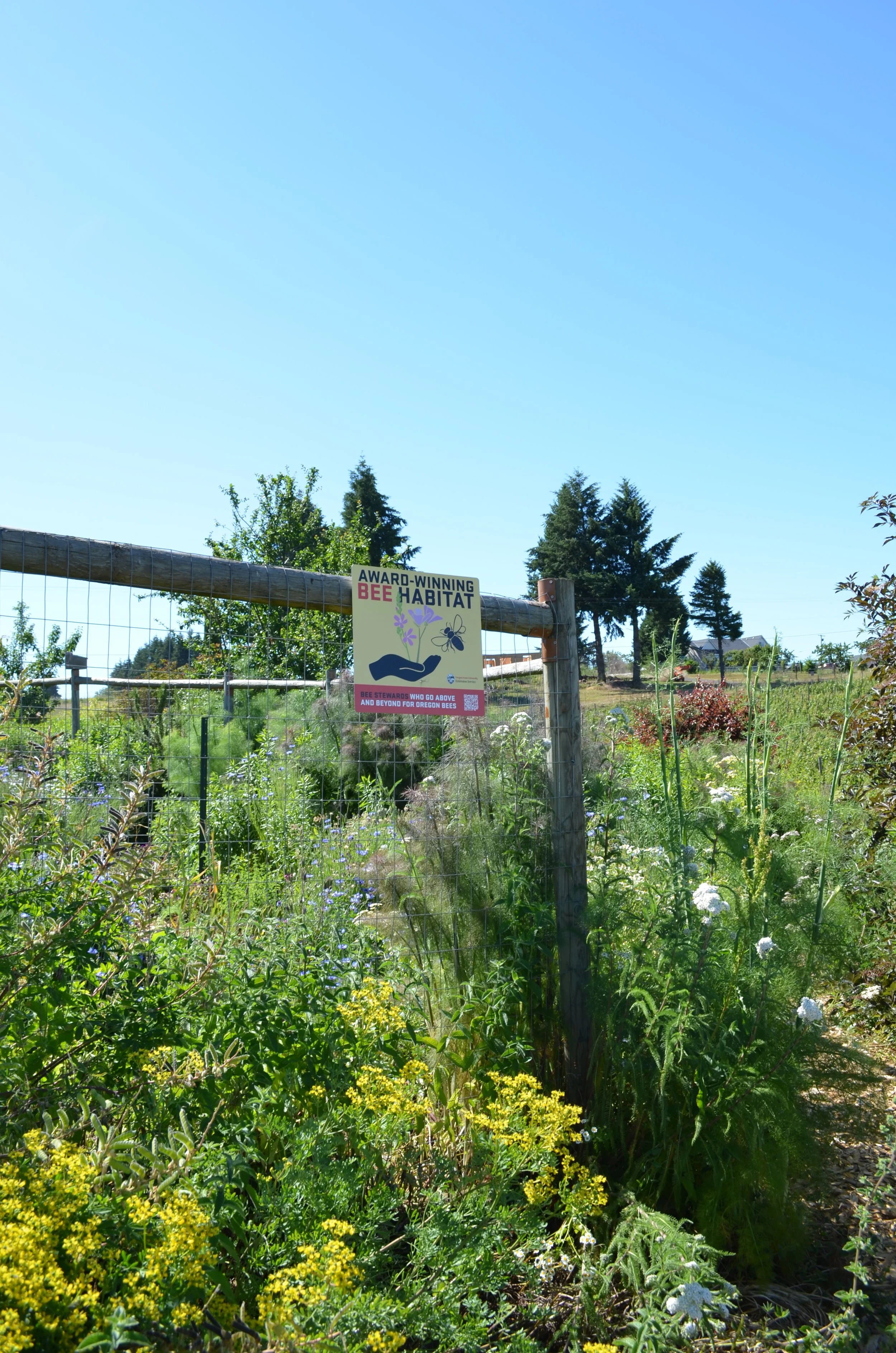 DSC_0370.JPG
