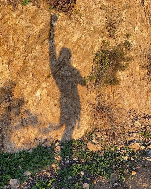 The Shadow Man Can