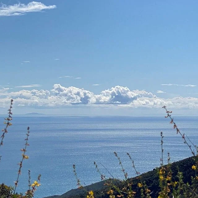 Mountaintop conversations with Gaia