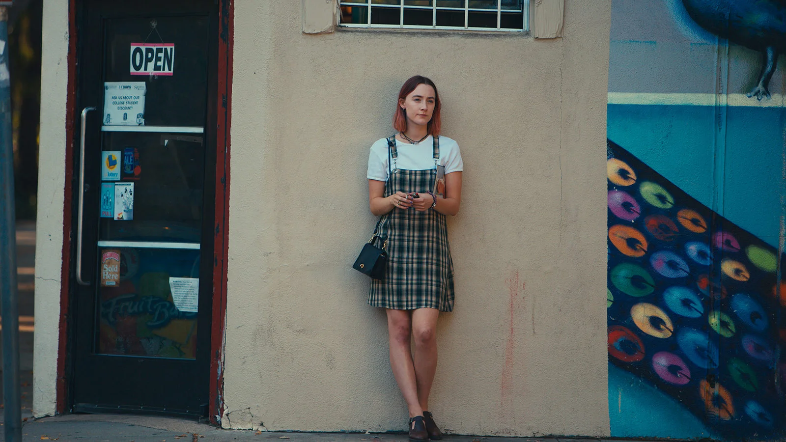 Ladybird5.jpg