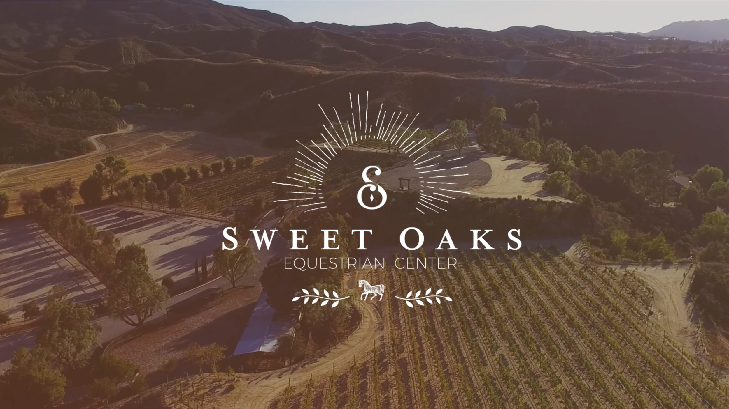Sweet Oaks Ranch: Meet Sarah 2017