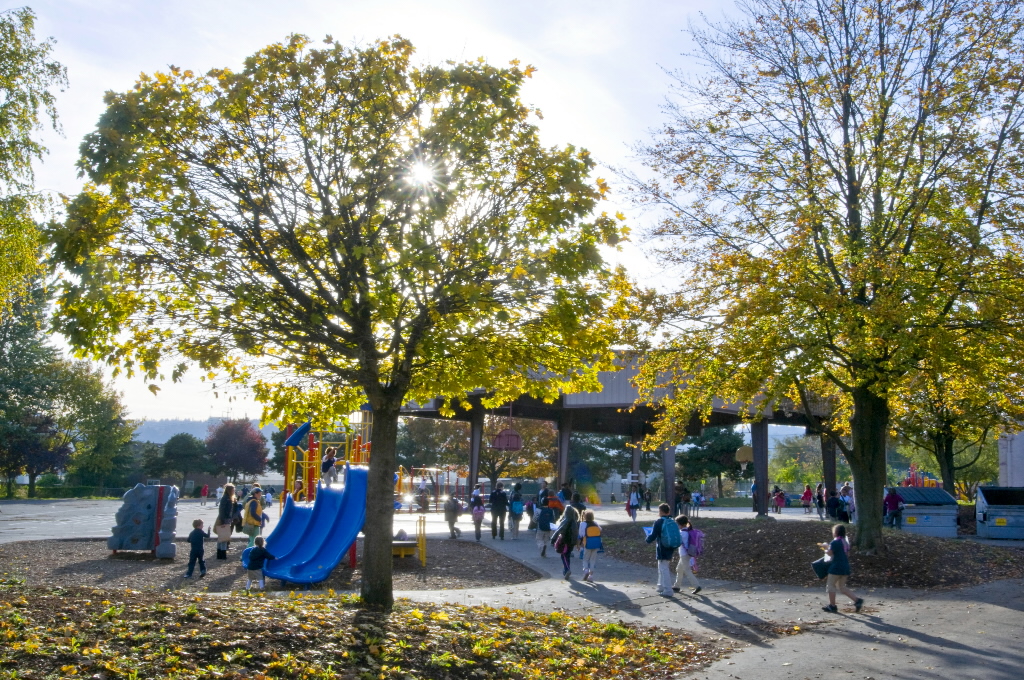 treejpg-5db8904f3d9e4d89.jpg