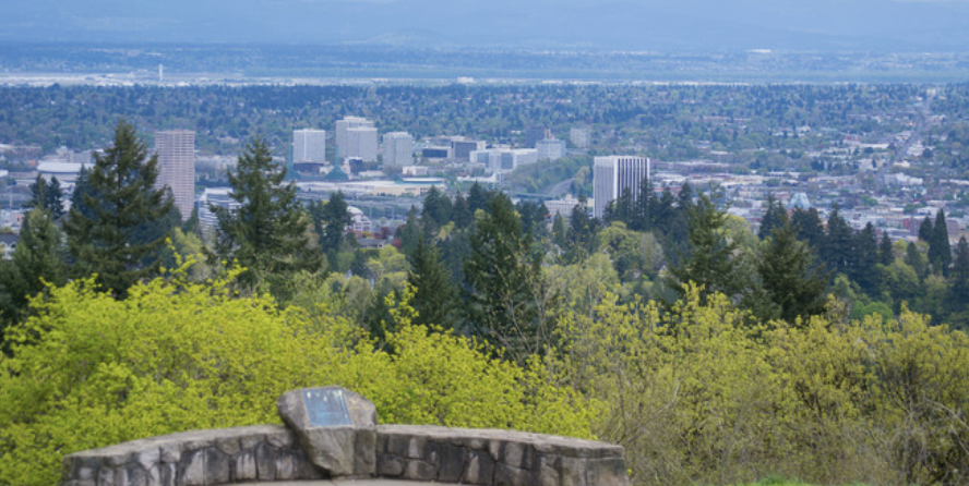 Screen Shot 2021-01-03 at 2.53.19 PM.png