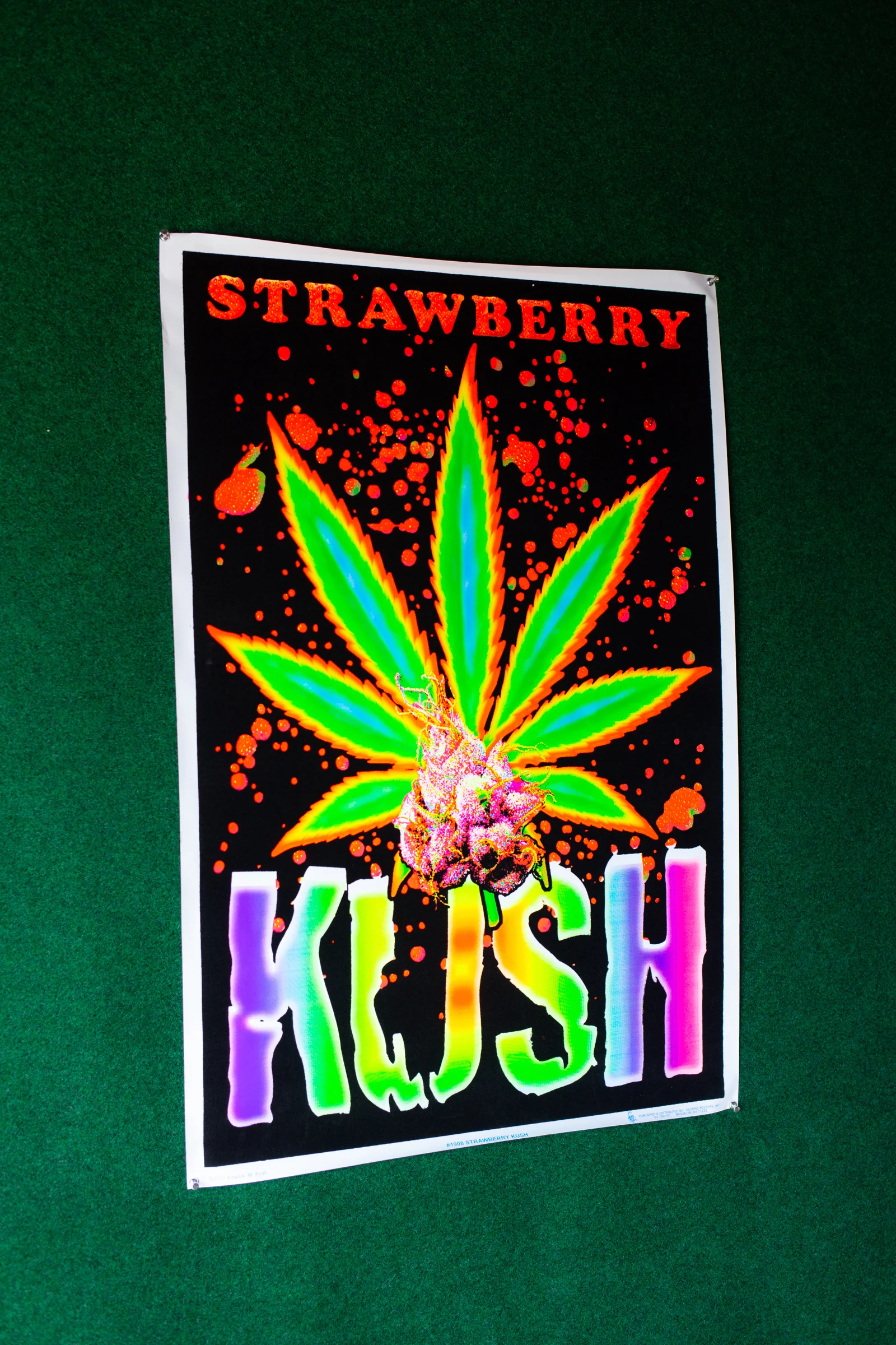 blacklight posters ss-2.jpg