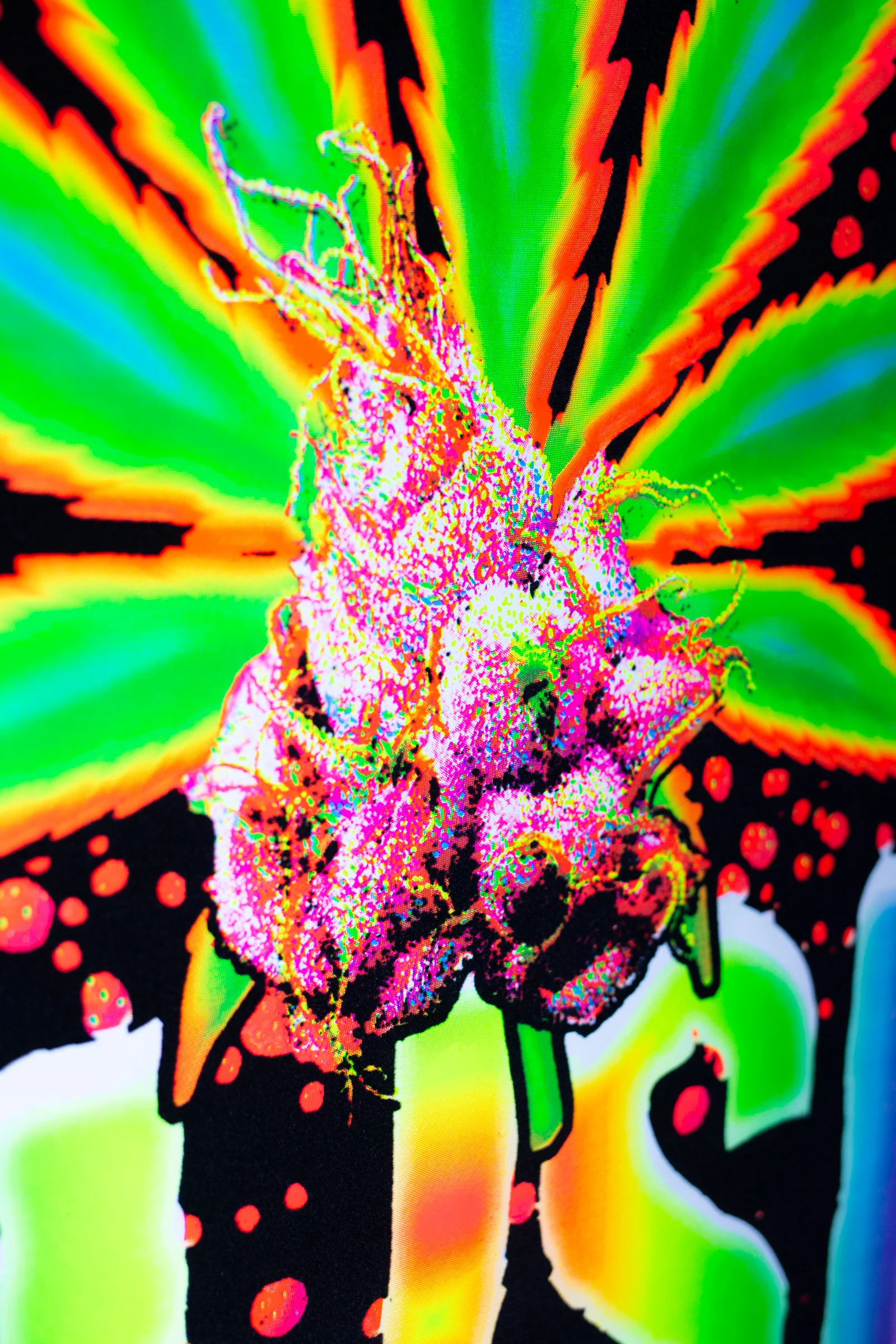 blacklight posters ss-4.jpg