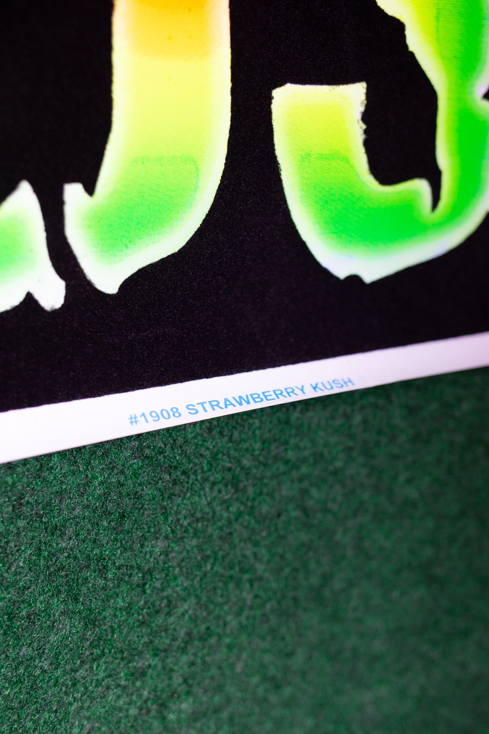 blacklight posters ss-5.jpg