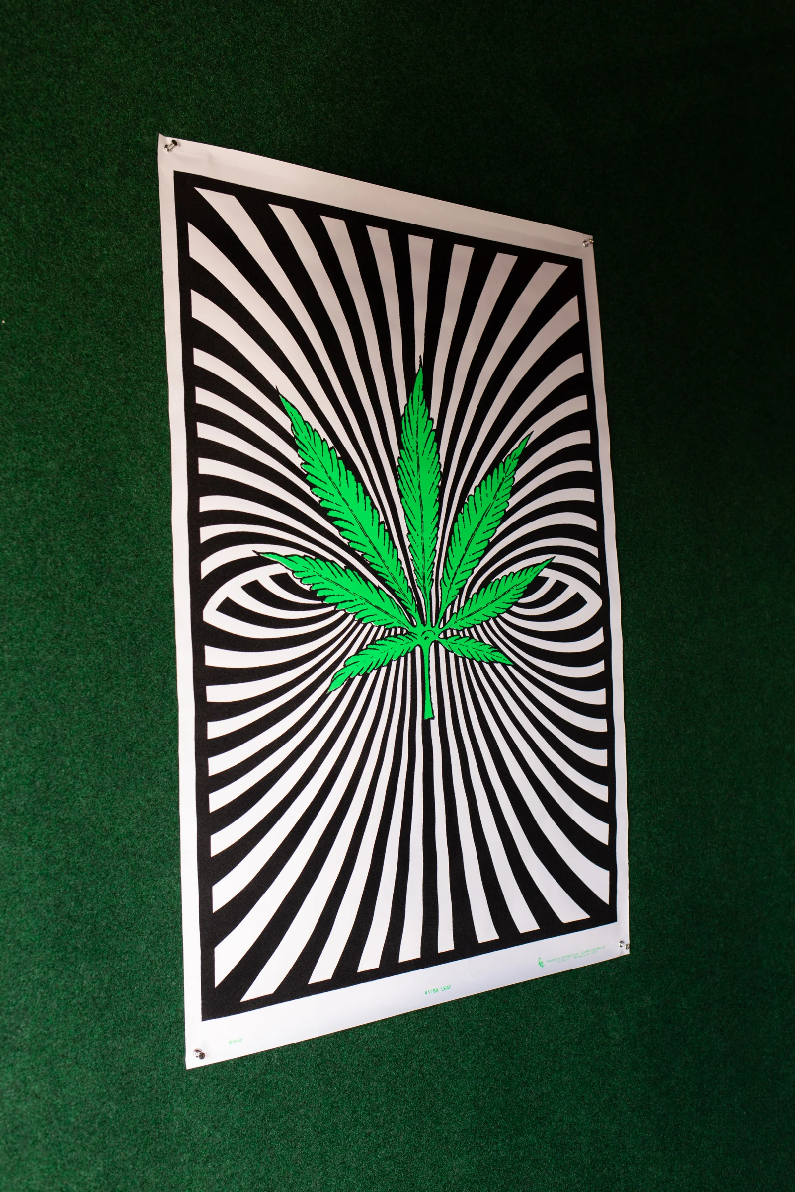 blacklight posters ss-43.jpg