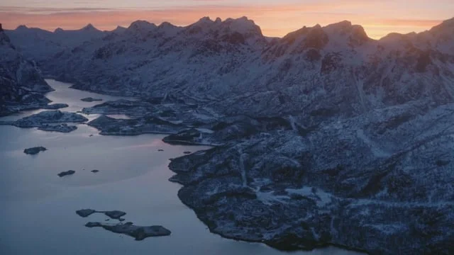 Velocity Black - Martha Hunt Swimming With Orcas